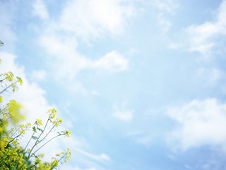 ���P�����ݔ�͙C���������ӵİl(f��)չ��