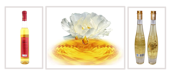 ʳ���͹��b����